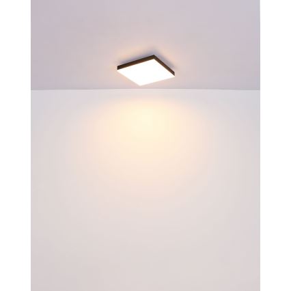 Globo - LED Stropní svítidlo LED/18W/230V 30x30 cm černá