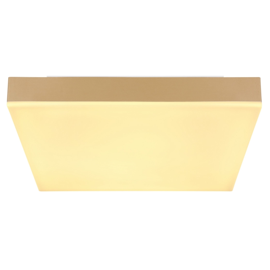Globo - LED Stropní svítidlo LED/18W/230V 30x30 cm zlatá