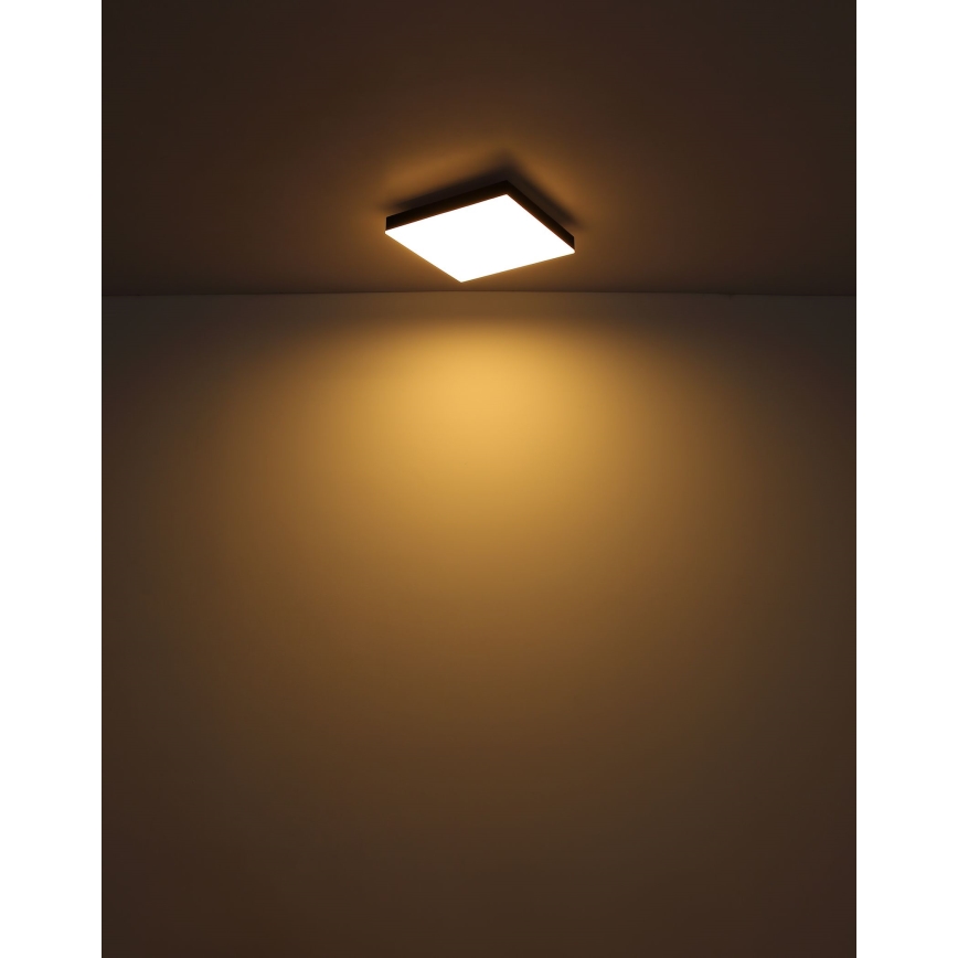 Globo - LED Stmívatelné stropní svítidlo LED/24W/230V 2700-6500K černá + dálkové ovládání