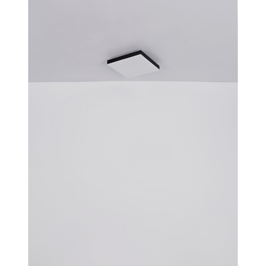 Globo - LED Stmívatelné stropní svítidlo LED/24W/230V 2700-6500K černá + dálkové ovládání