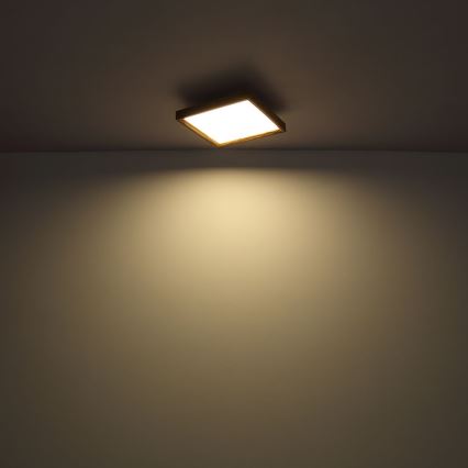 Globo - LED Stropní svítidlo LED/12W/230V 2700/4500/6500K 30x30 cm