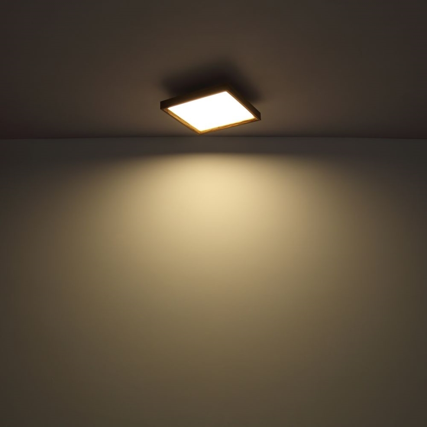 Globo - LED Stropní svítidlo LED/24W/230V 45cm 2700/4500/6500K