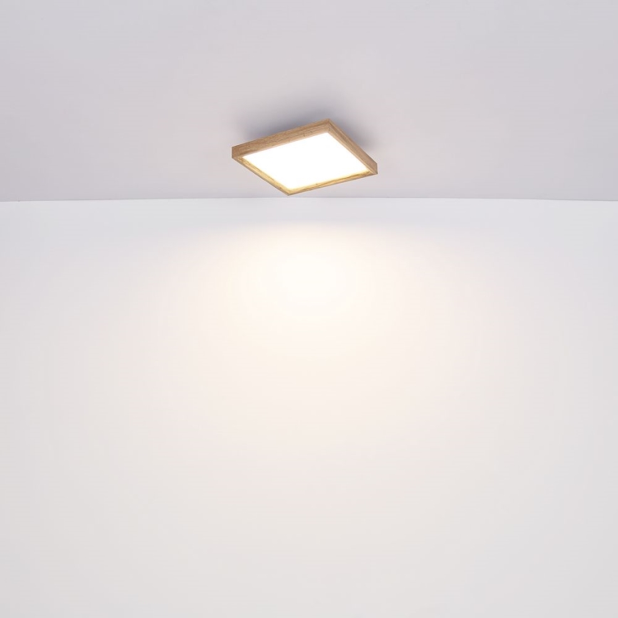 Globo - LED Stropní svítidlo LED/24W/230V 45cm 2700/4500/6500K