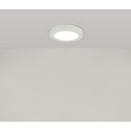 Globo 41605-18 - LED Koupelnové stropní svítidlo PAULA 1xLED/18W/230V IP44