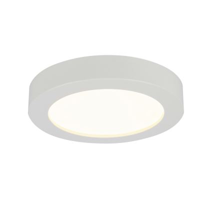 GLOBO 41605-18 - LED Koupelnové stropní svítidlo PAULA 1xLED/18W/230V IP44