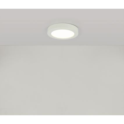 GLOBO 41605-18 - LED Koupelnové stropní svítidlo PAULA 1xLED/18W/230V IP44