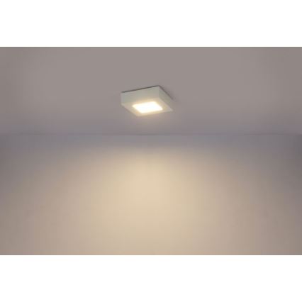 Globo - LED Stropní svítidlo SVENJA 1xLED/9W/230V 3000/4000/6000K