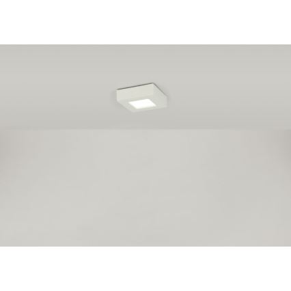 Globo - LED Stropní svítidlo SVENJA 1xLED/9W/230V 3000/4000/6000K