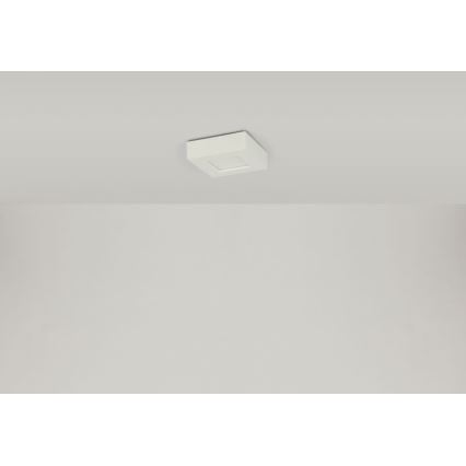 Globo - LED Stropní svítidlo SVENJA 1xLED/9W/230V 3000/4000/6000K