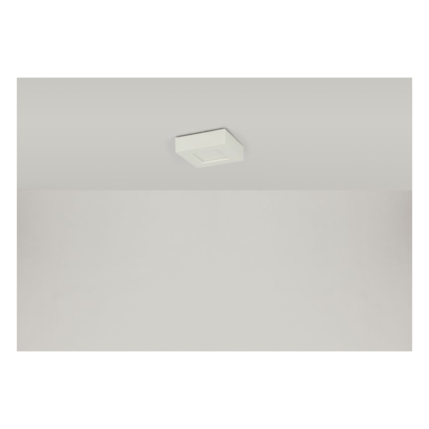 Globo - LED Stropní svítidlo SVENJA 1xLED/9W/230V 3000/4000/6000K
