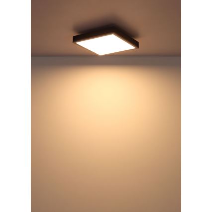 Globo - LED Stropní svítidlo LED/12W/230V 3000K 30x30 cm