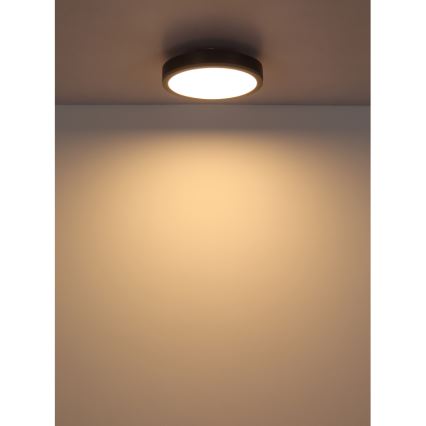 Globo - LED Stropní svítidlo LED/12W/230V 3000K pr. 30 cm