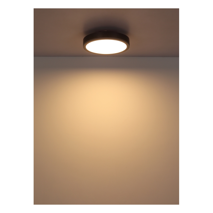 Globo - LED Stropní svítidlo LED/12W/230V 3000K pr. 30 cm