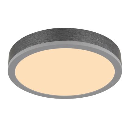Globo - LED Stropní svítidlo LED/12W/230V 3000K pr. 30 cm