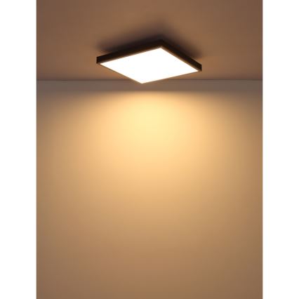 Globo - LED Stropní svítidlo LED/24W/230V 3000K 45x45 cm