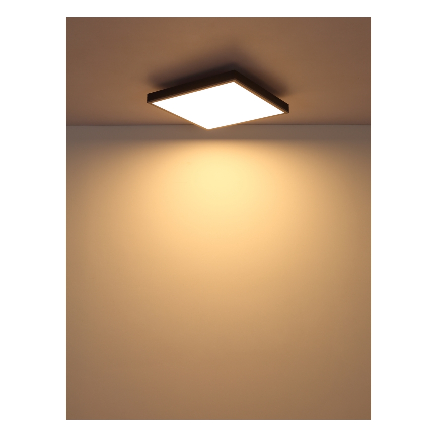 Globo - LED Stropní svítidlo LED/24W/230V 3000K 45x45 cm