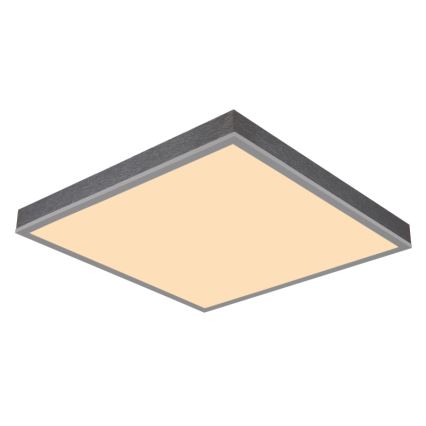 Globo - LED Stropní svítidlo LED/24W/230V 3000K 45x45 cm