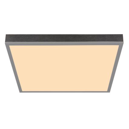 Globo - LED Stropní svítidlo LED/24W/230V 3000K 45x45 cm