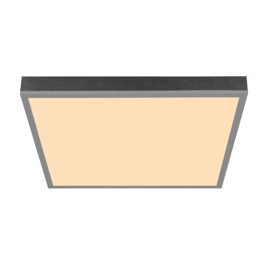 Globo - LED Stropní svítidlo LED/24W/230V 3000K 45x45 cm