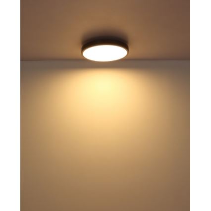 Globo - LED Stropní svítidlo LED/24W/230V 3000K pr. 45 cm
