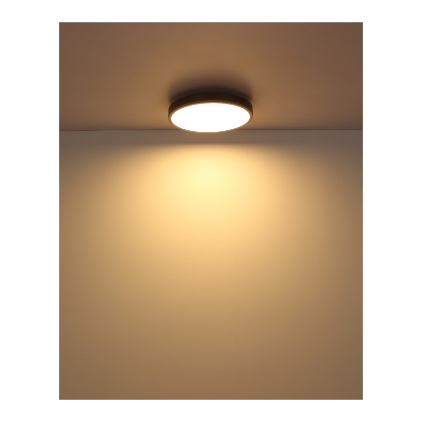Globo - LED Stropní svítidlo LED/24W/230V 3000K pr. 45 cm
