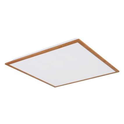 Globo - LED Stropní svítidlo LED/24W/230V