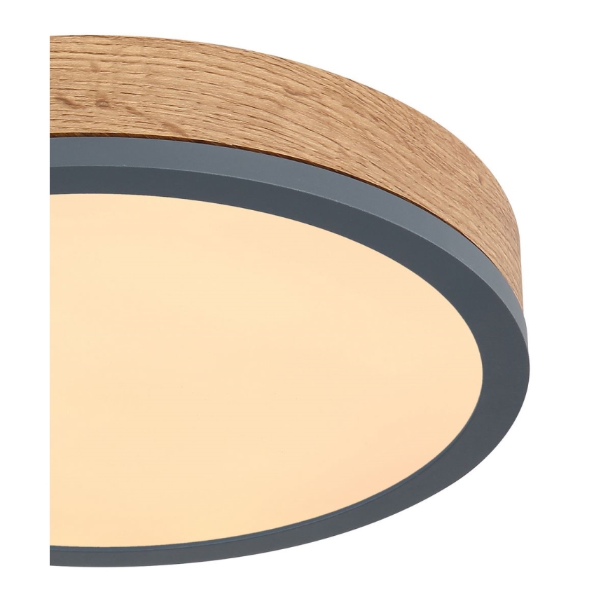 Globo - LED Stropní svítidlo LED/12W/230V pr. 30 cm