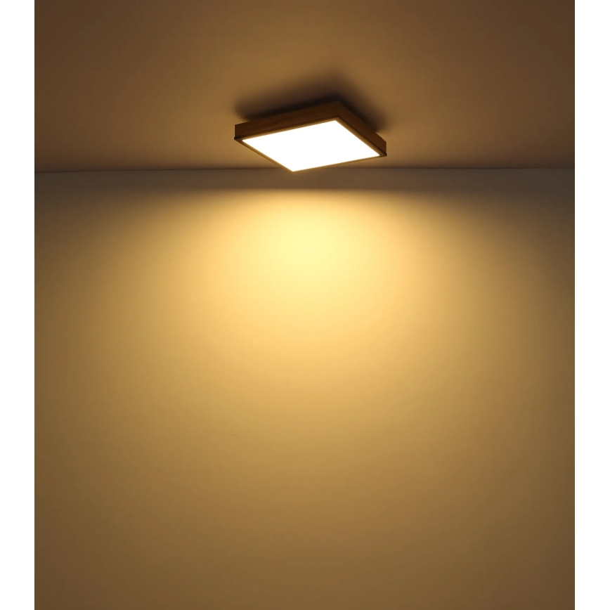Globo - LED Stmívatelné stropní svítidlo LED/24W/230V 3000-6500K 45x45 cm