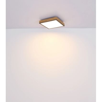 Globo - LED Stmívatelné stropní svítidlo LED/24W/230V 3000-6500K 45x45 cm