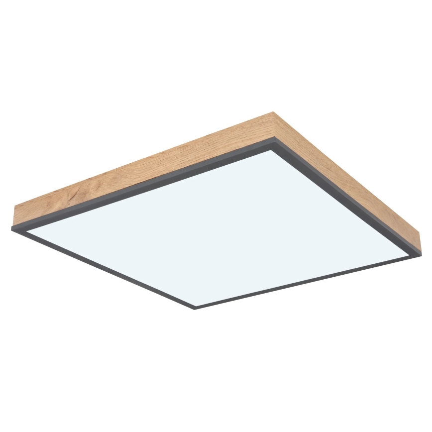 Globo - LED Stmívatelné stropní svítidlo LED/24W/230V 3000-6500K 45x45 cm
