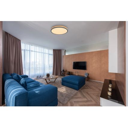 Globo - LED Stmívatelné stropní svítidlo LED/24W/230V 2700-6500K pr. 45 cm