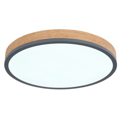 Globo - LED Stmívatelné stropní svítidlo LED/24W/230V 2700-6500K pr. 45 cm