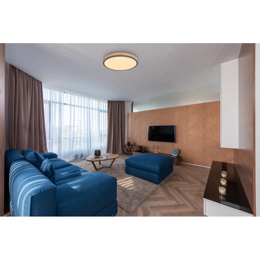 Globo - LED Stmívatelné stropní svítidlo LED/24W/230V 3000-6500K pr. 45 cm