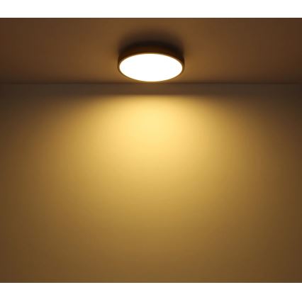 Globo - LED Stmívatelné stropní svítidlo LED/24W/230V 3000-6500K pr. 45 cm