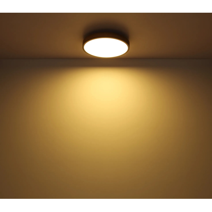Globo - LED Stmívatelné stropní svítidlo LED/24W/230V 3000-6500K pr. 45 cm