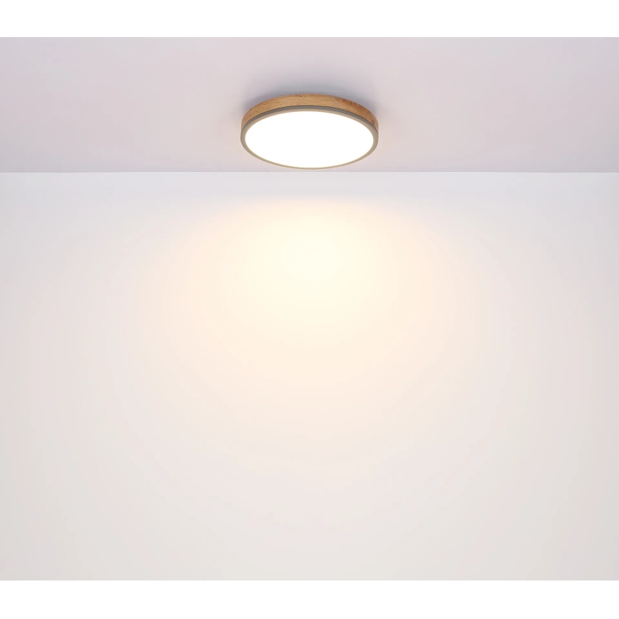 Globo - LED Stmívatelné stropní svítidlo LED/24W/230V 3000-6500K pr. 45 cm