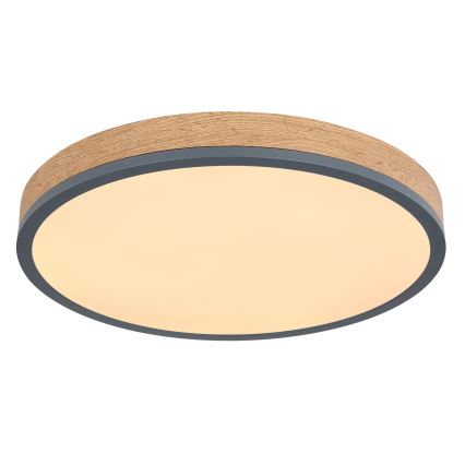 Globo - LED Stmívatelné stropní svítidlo LED/24W/230V 3000-6500K pr. 45 cm