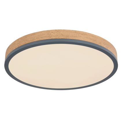 Globo - LED Stmívatelné stropní svítidlo LED/24W/230V 3000-6500K pr. 45 cm