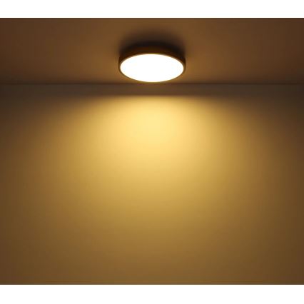 Globo - LED Stmívatelné stropní svítidlo LED/40W/230V 2700-6500K pr. 60 cm + dálkové ovládání hnědá/šedá