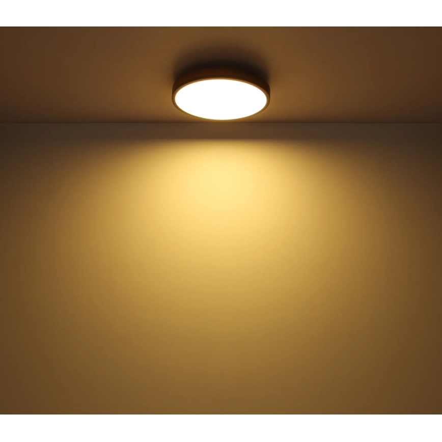 Globo - LED Stmívatelné stropní svítidlo LED/40W/230V 2700-6500K pr. 60 cm + dálkové ovládání hnědá/šedá