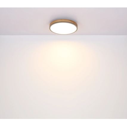 Globo - LED Stmívatelné stropní svítidlo LED/40W/230V 2700-6500K pr. 60 cm + dálkové ovládání hnědá/šedá