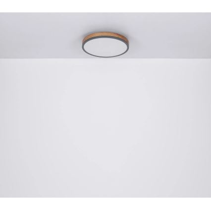 Globo - LED Stmívatelné stropní svítidlo LED/40W/230V 2700-6500K pr. 60 cm + dálkové ovládání hnědá/šedá