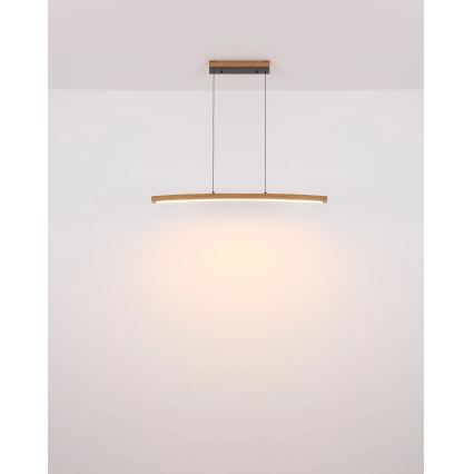 Globo - LED Stmívatelný dotykový lustr na lanku LED/18W/230V 3000K