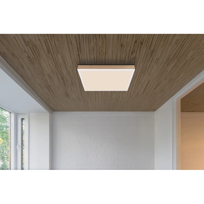 Globo - LED Stmívatelné stropní svítidlo LED/24W/230V 2700-6500K + dálkové ovládání hnědá/bílá