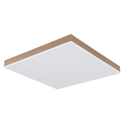 Globo - LED Stmívatelné stropní svítidlo LED/24W/230V 2700-6500K + dálkové ovládání hnědá/bílá