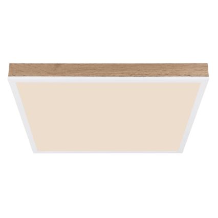 Globo - LED Stmívatelné stropní svítidlo LED/24W/230V 2700-6500K + dálkové ovládání hnědá/bílá