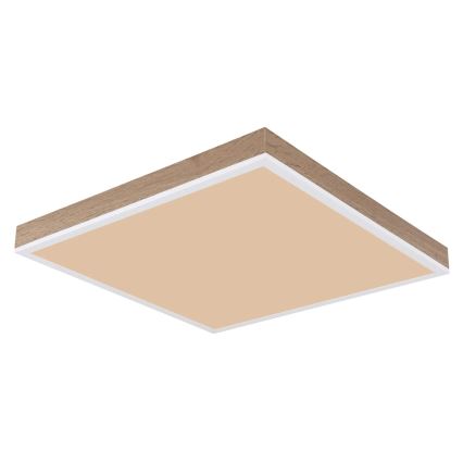 Globo - LED Stmívatelné stropní svítidlo LED/24W/230V 2700-6500K + dálkové ovládání hnědá/bílá