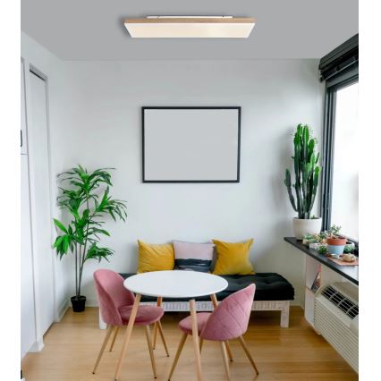 Globo - LED Stmívatelné stropní svítidlo LED/24W/230V 2700-6500K 20x80 cm + dálkové ovládání
