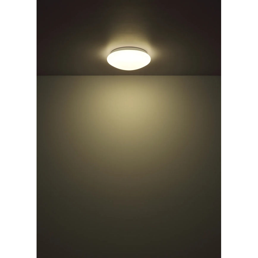 Globo - LED Stropní svítidlo LED/12W/230V 4000K pr. 25,4 cm