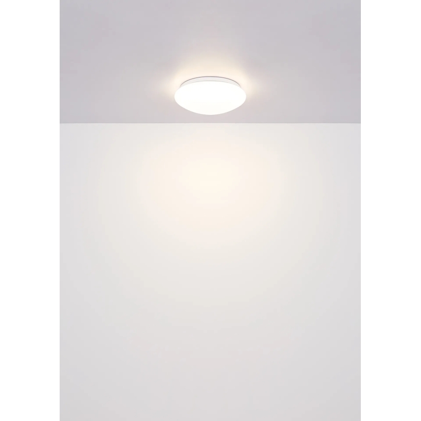 Globo - LED Stropní svítidlo LED/12W/230V 4000K pr. 25,4 cm